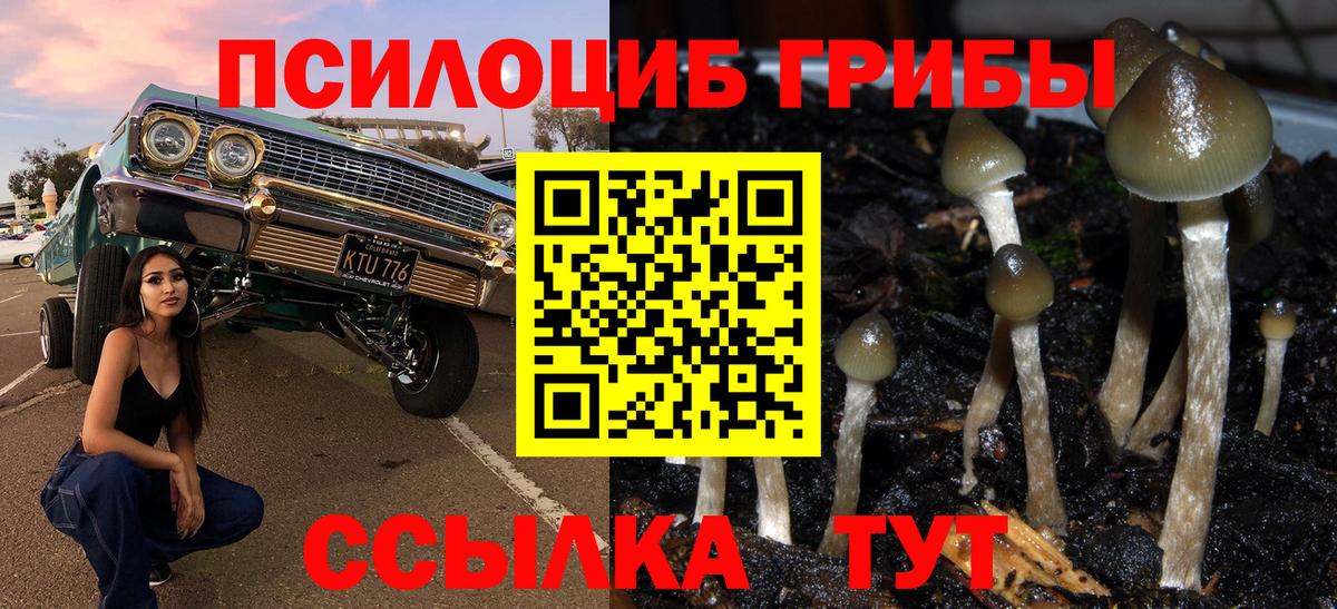 Галлюциногенные грибы Psilocybine cubensis  Вход с VPN  Семилуки  Псилоцибиновые грибы мухоморы 